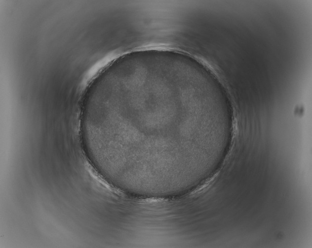 X0000114621406200911101204