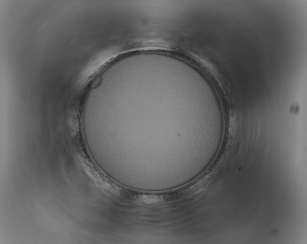 X0000114621407200911101204