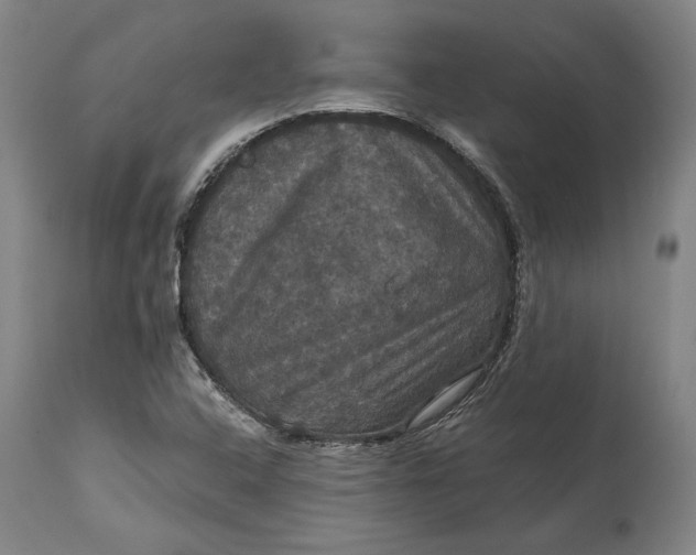 X0000114621408200911101204