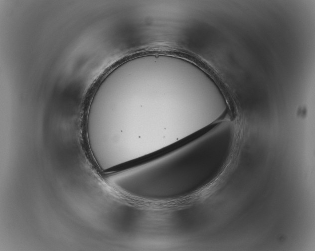 X0000114621410200911101204