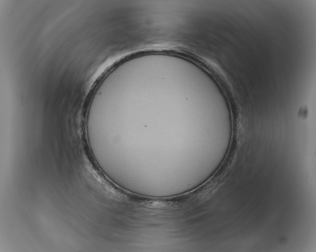 X0000114621412200911101204