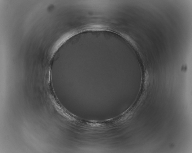 X0000114621413200911101204