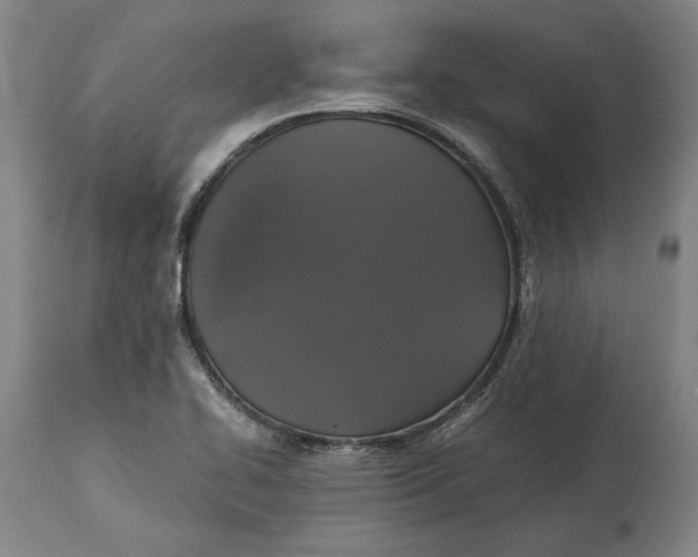 X0000114621414200911101204