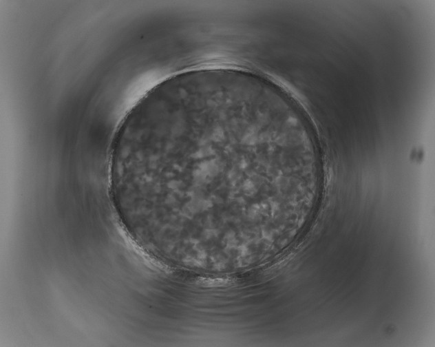 X0000114621415200911101204