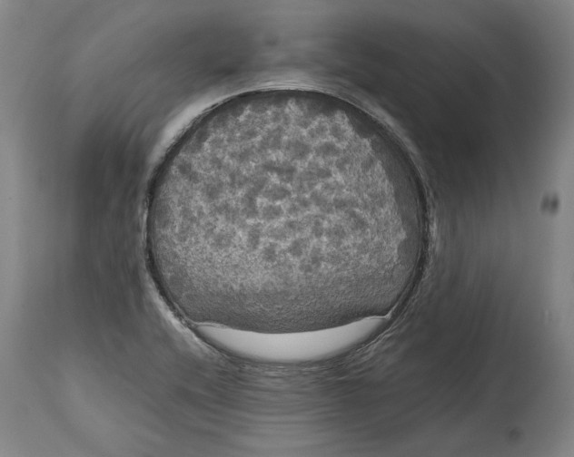 X0000114621416200911101204