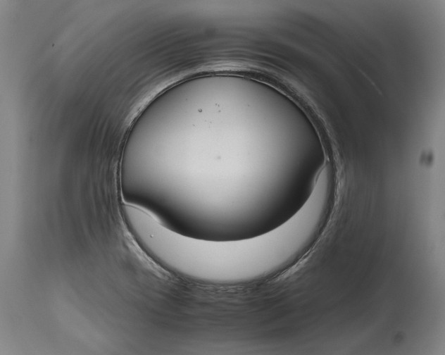 X0000114621417200911101204