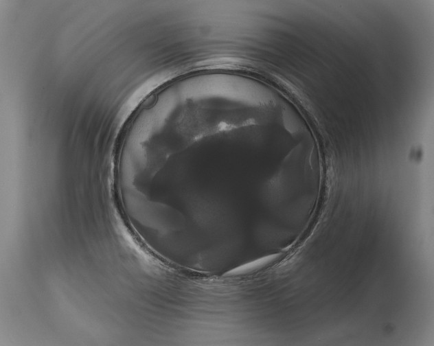 X0000114621418200911101204