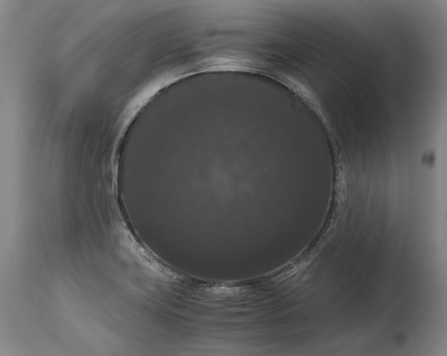 X0000114621419200911101204