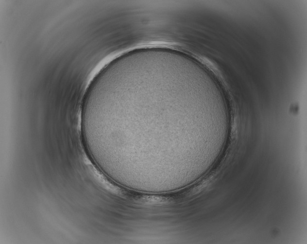 X0000114621420200911101204