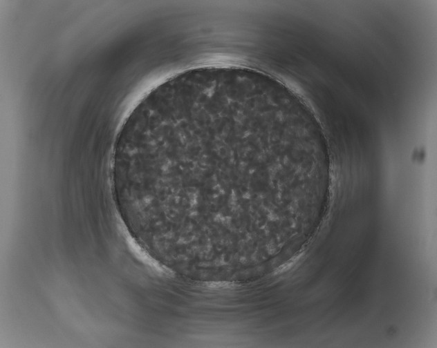 X0000114621421200911101204