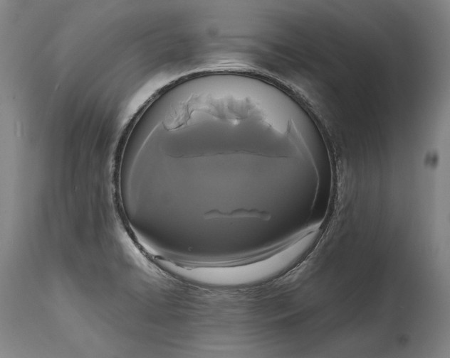 X0000114621422200911101204