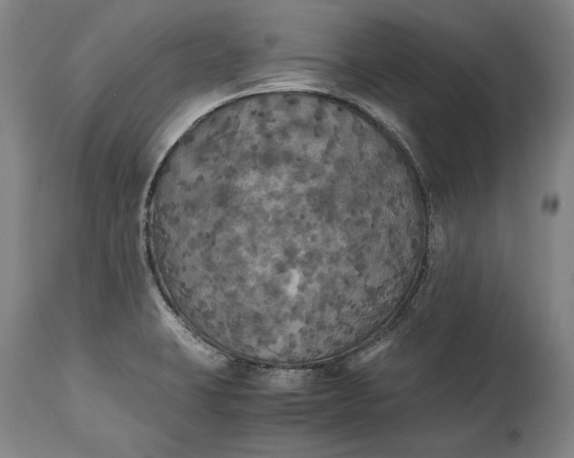 X0000114621423200911101204