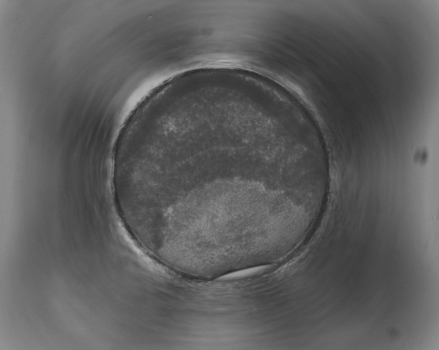 X0000114621424200911101204