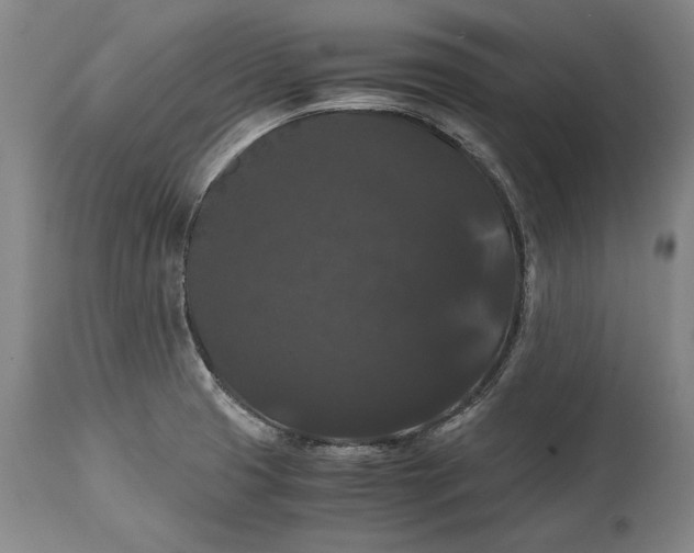 X0000114621425200911101204