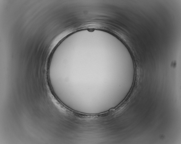X0000114621426200911101204