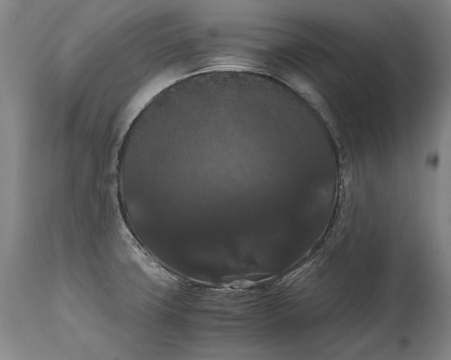 X0000114621427200911101204