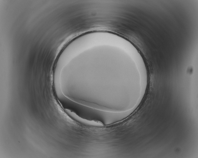 X0000114621428200911101204