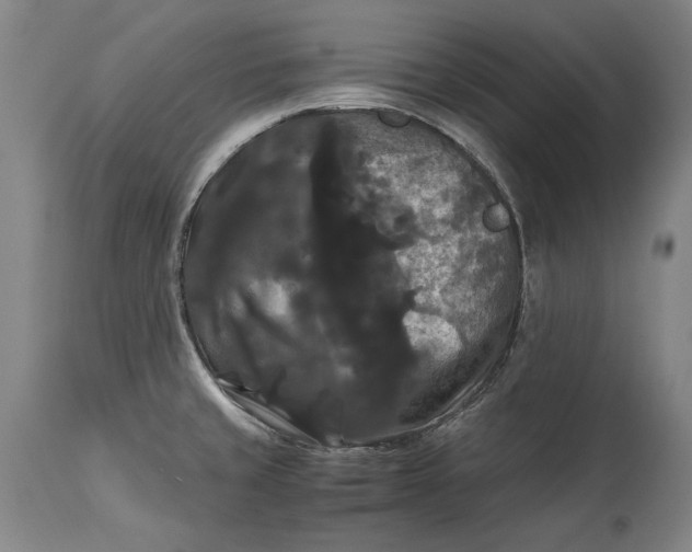 X0000114621429200911101204