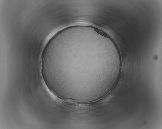 X0000114621430200911101204
