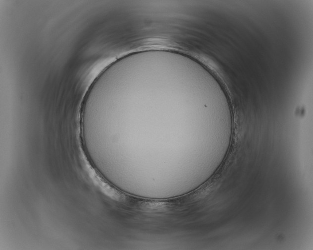 X0000114621431200911101204