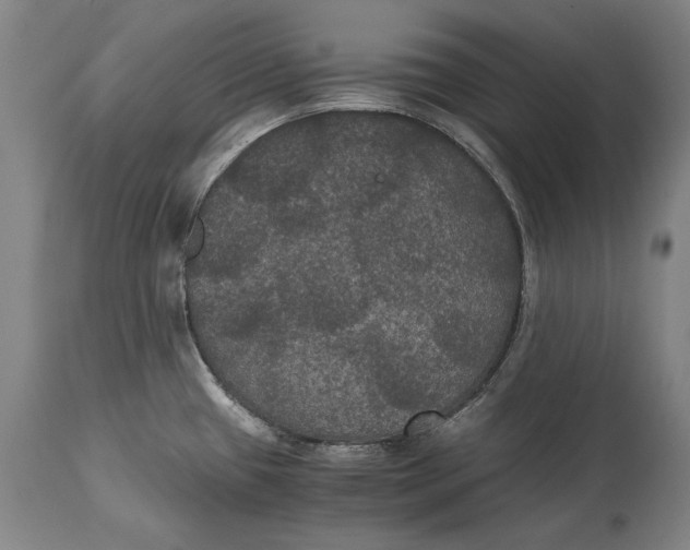 X0000114621433200911101204