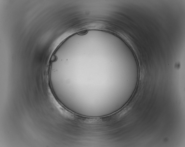X0000114621434200911101205