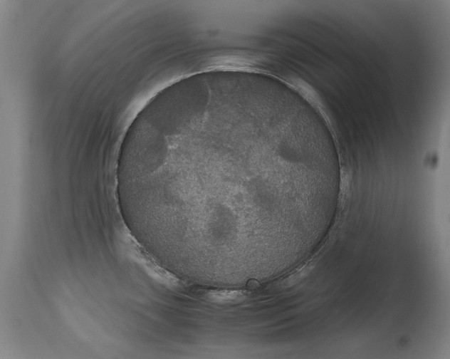 X0000114621435200911101205