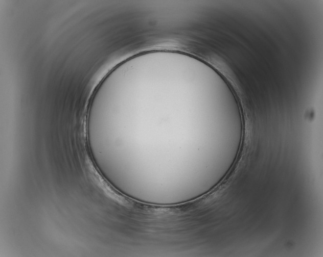 X0000114621436200911101205