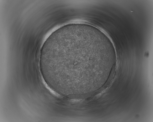 X0000114621437200911101205