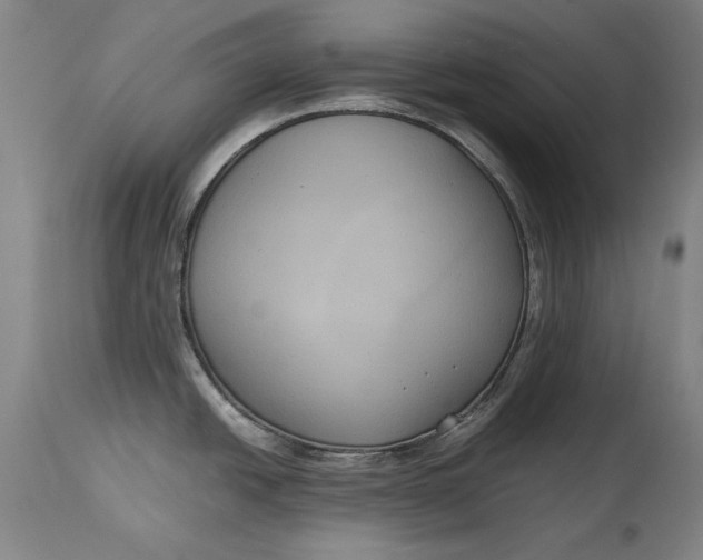 X0000114621438200911101205