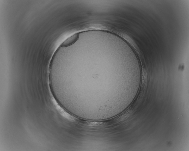 X0000114621439200911101205