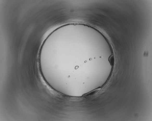 X0000114621440200911101205