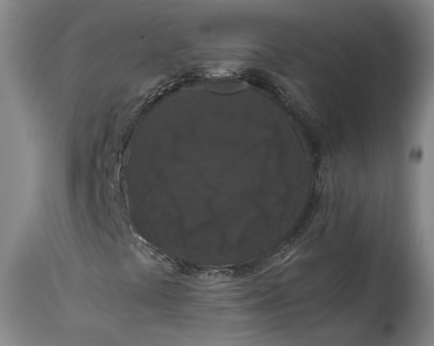 X0000114621441200911101204