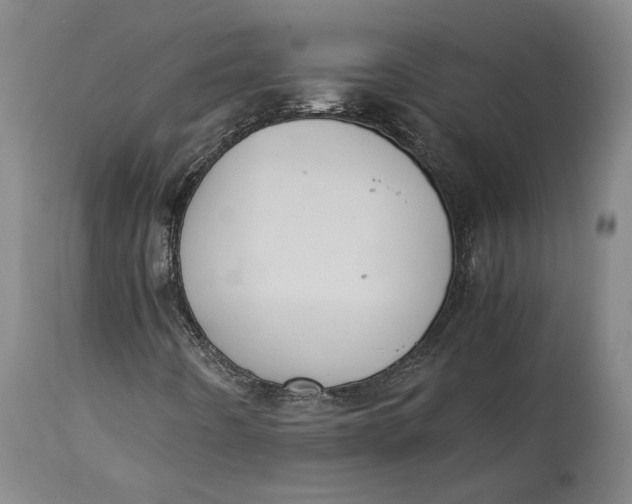 X0000114621442200911101204