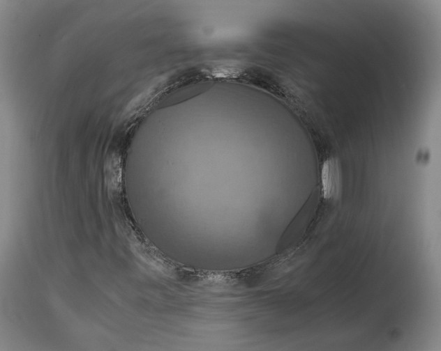 X0000114621443200911101204
