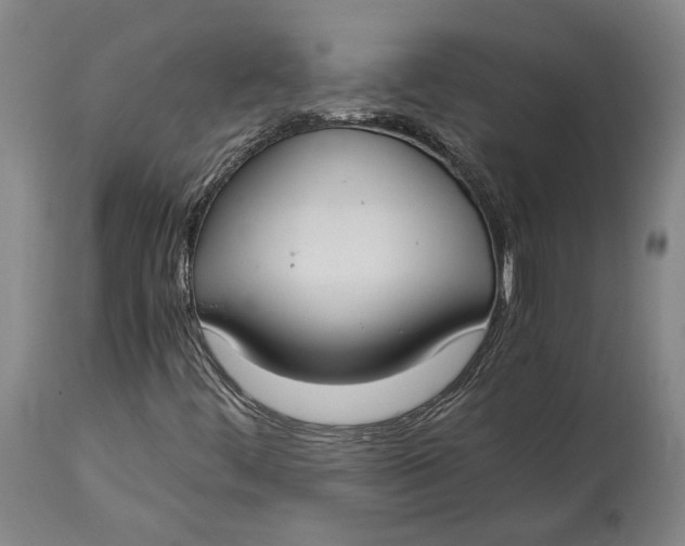 X0000114621444200911101204