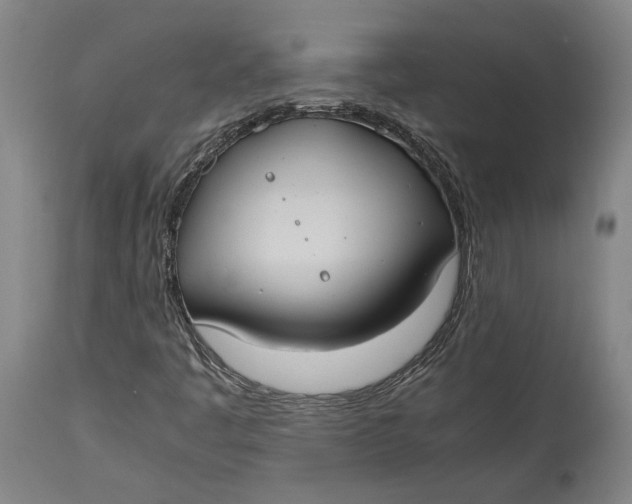 X0000114621445200911101204