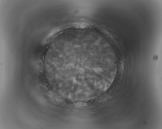 X0000114621446200911101204