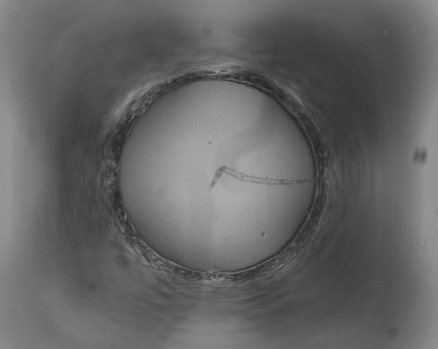 X0000114621447200911101204