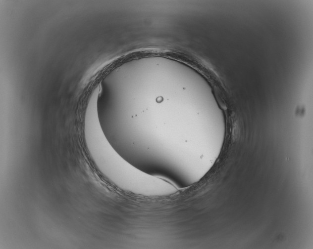 X0000114621448200911101204