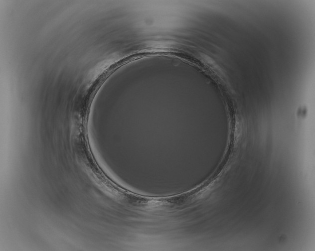 X0000114621449200911101204
