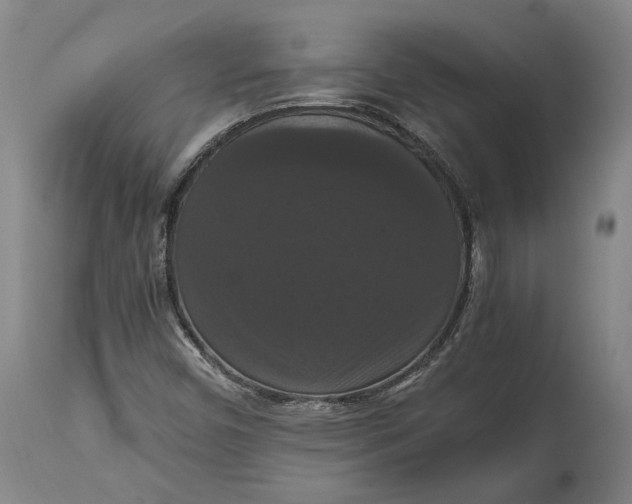 X0000114621450200911101204