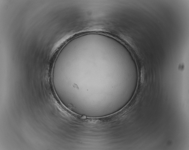 X0000114621452200911101204