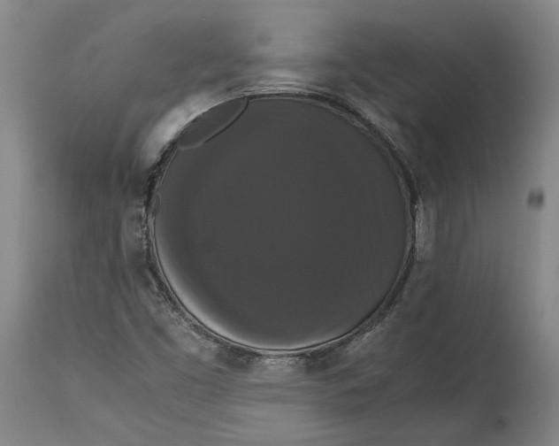 X0000114621453200911101204