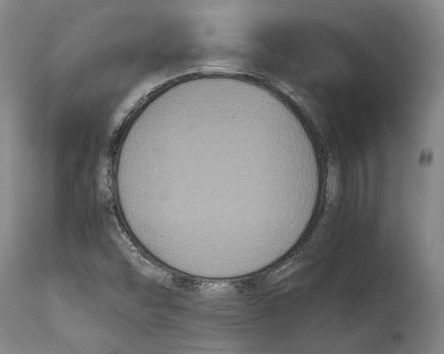 X0000114621454200911101204