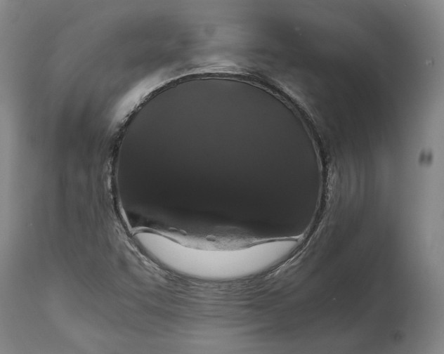 X0000114621455200911101204