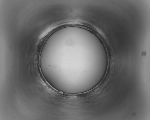 X0000114621456200911101204