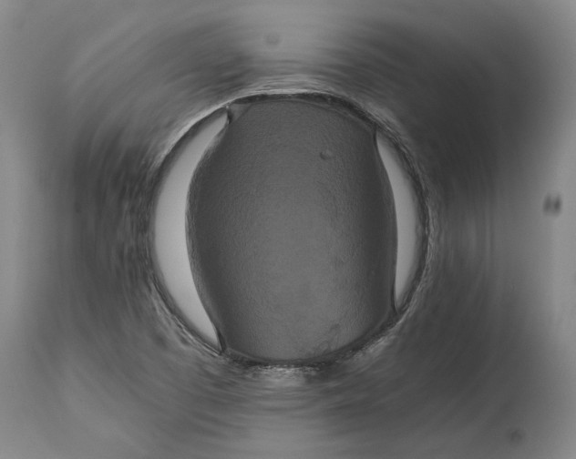 X0000114621457200911101204