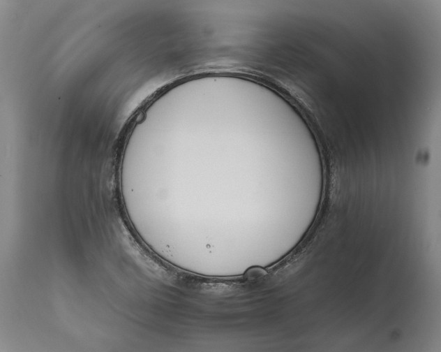 X0000114621458200911101204