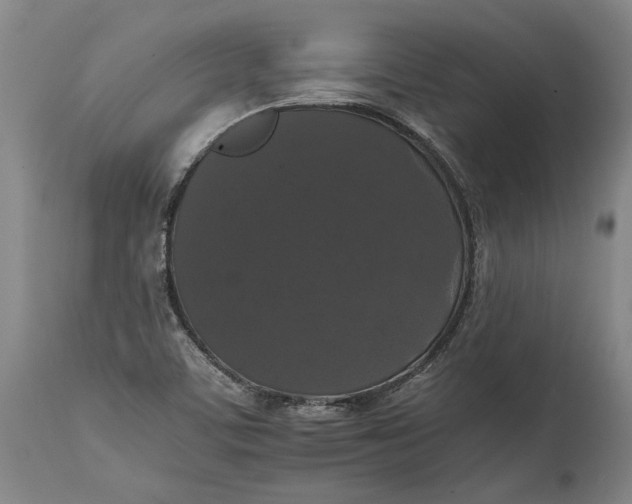 X0000114621459200911101204